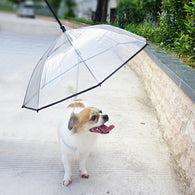 Pour-Protection Umbrella With Reflective Lining And Leash Holder